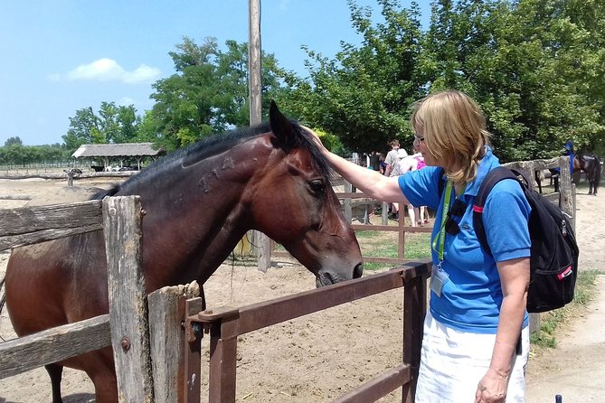 The "Puszta" Horse Show - Is $134.63 a fair price?