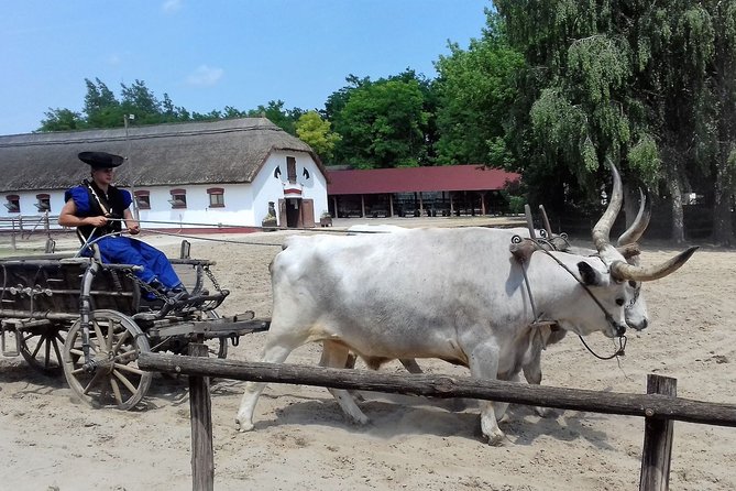 The "Puszta" Horse Show - Who will enjoy this day most?
