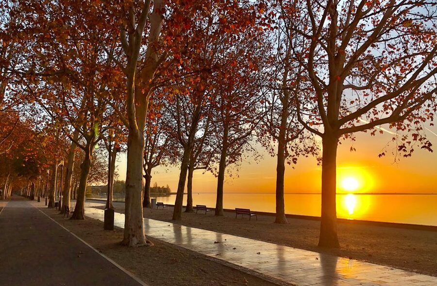 The Turquoise Sea of Hungary: Lake Balaton Private Tour - Practical planning for the eight-hour schedule