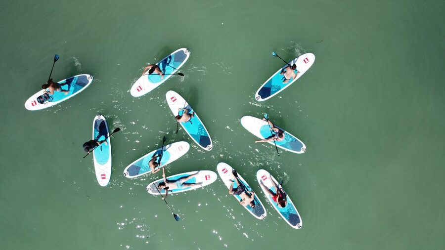 Tihany: SUP Course and Tour at Lake Balaton - The first lesson: boards, paddles, and the right fit