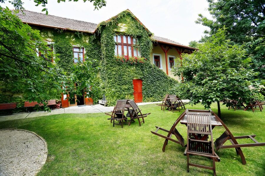 Tokaj: Classic Wine Tasting - Entering the 500-year-old cellar