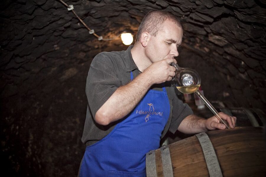 Tokaj: Classic Wine Tasting - Six wines, from dry whites to Tokaji Aszú