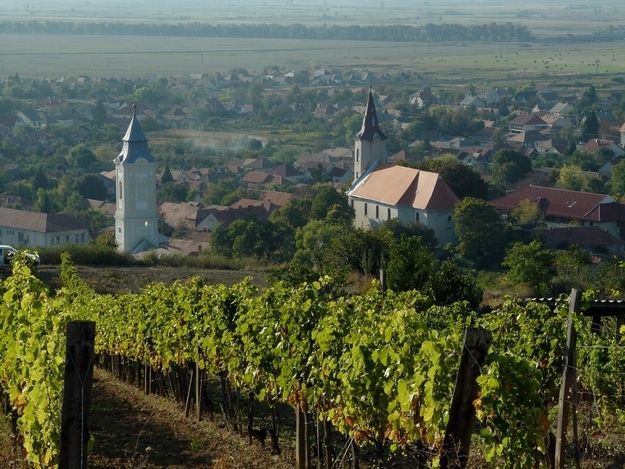 Tokaj Private Day Tour from Budapest - Key Points Before You Book