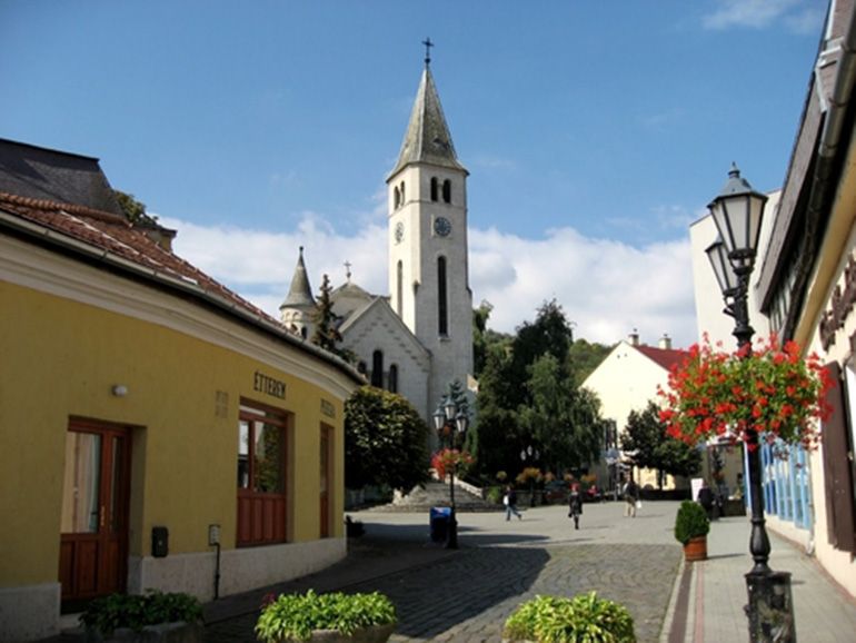 Tokaj Private Day Tour from Budapest - Who Should Choose This Tokaj Day Trip?