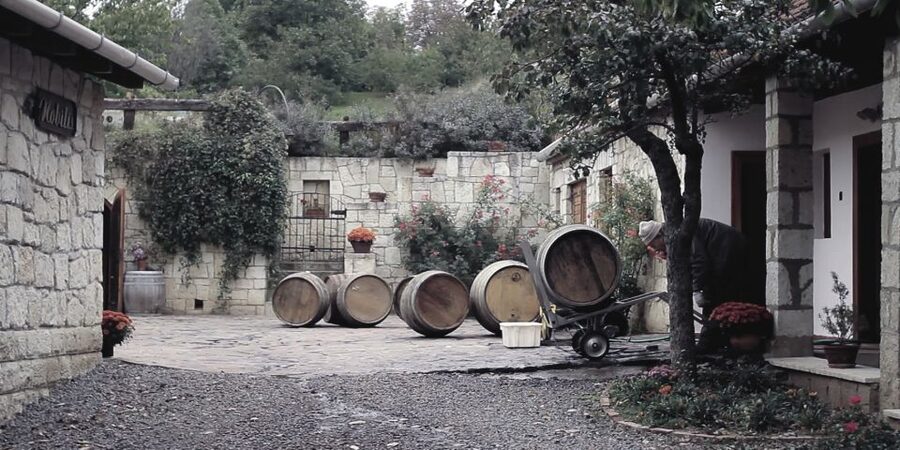 Tokaj Private Day Tour from Budapest - Why Tokaj Is Worth a Full Day From Budapest