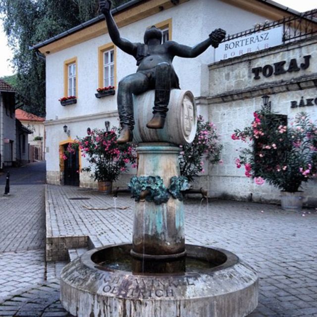 Tokaj Private Day Tour from Budapest - The Optional Sárospatak Castle Question