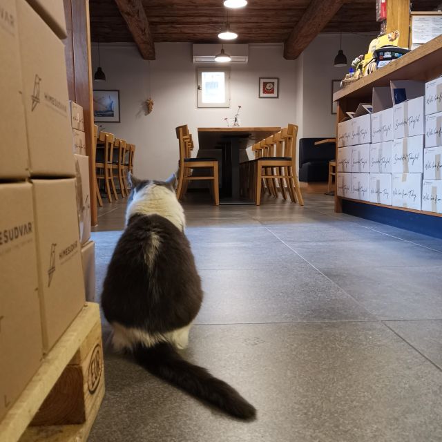 Tokaj: Vineyard Tour & Tasting - Is $92 a fair price?