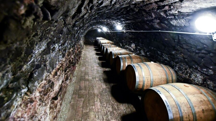 Tokaj: Vineyard Tour & Tasting - Inside the Hímesudvar Wine Estate