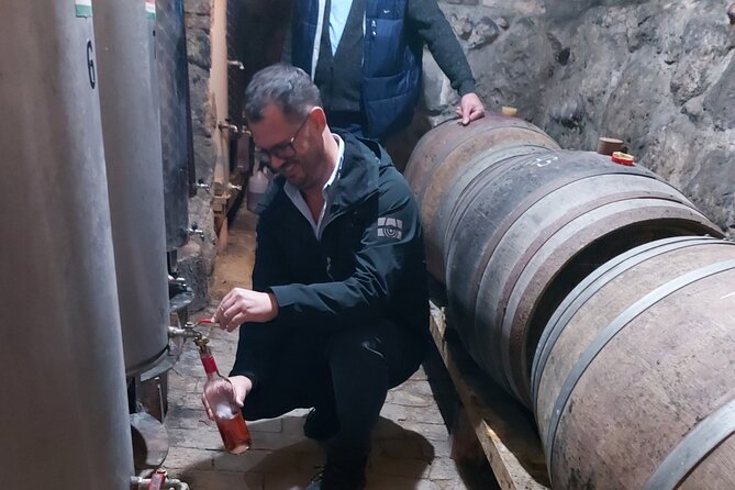 Wine Tasting in the Countryside from Budapest - Key things to know before you book