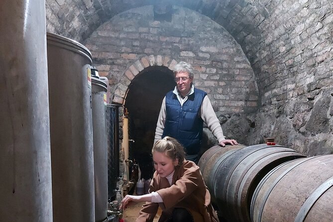Wine Tasting in the Countryside from Budapest - Why Miki makes a difference