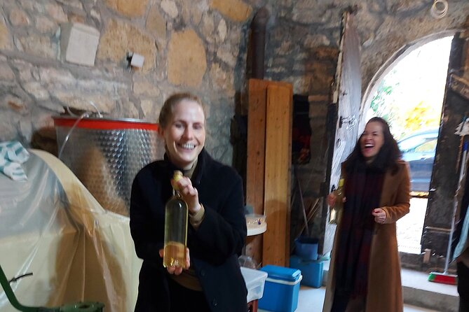 Wine Tasting in the Countryside from Budapest - Is $90 a fair price?