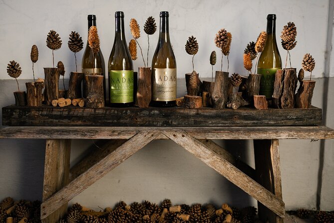 Wine Tour of Etyek from Budapest, taste even 7 kinds of wines! - Timing, transport, and the practical details