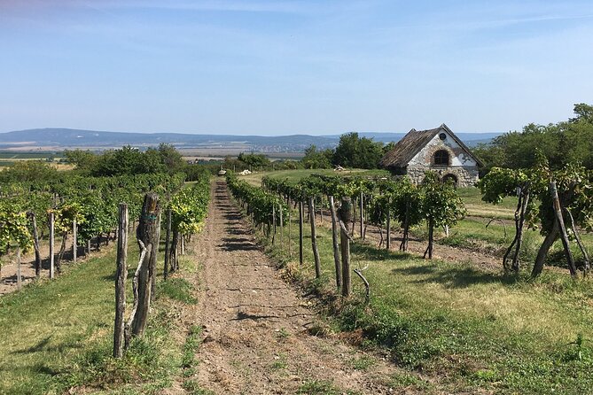 Wine Tour of Etyek from Budapest, taste even 7 kinds of wines! - Who will enjoy this Etyek wine tour most